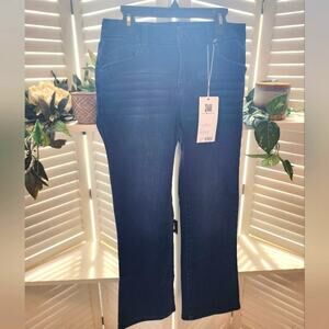 1822 DENIUM LANIE JEANS NEW SIZE 4/27